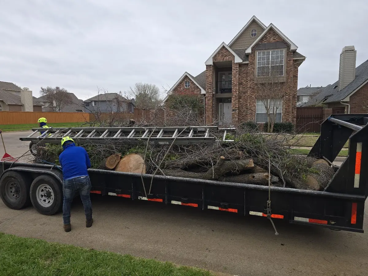 Expert Tree Fertilization with proper safety equipment in Mexican Hat